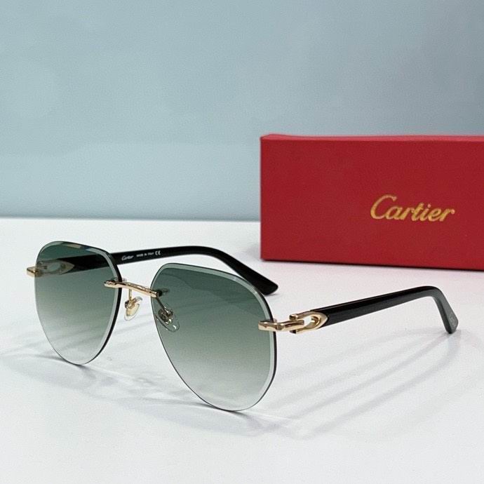 Cartier Glasses (35)